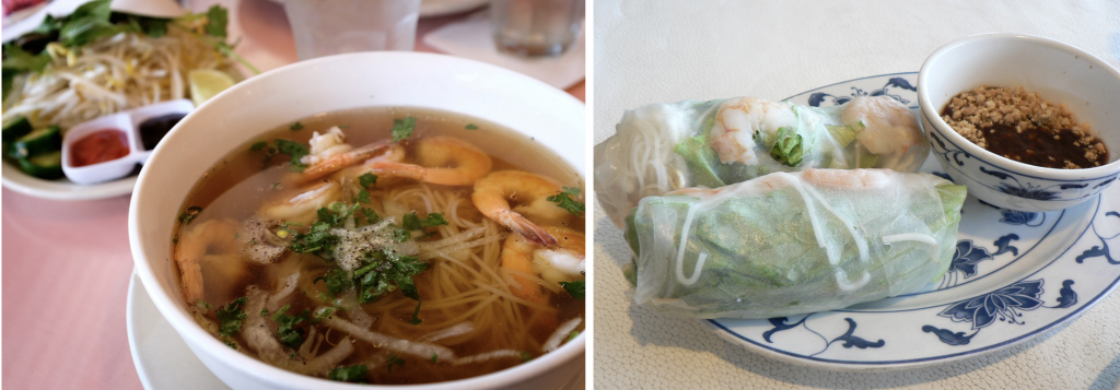Vietnamese Noodles and Wrap