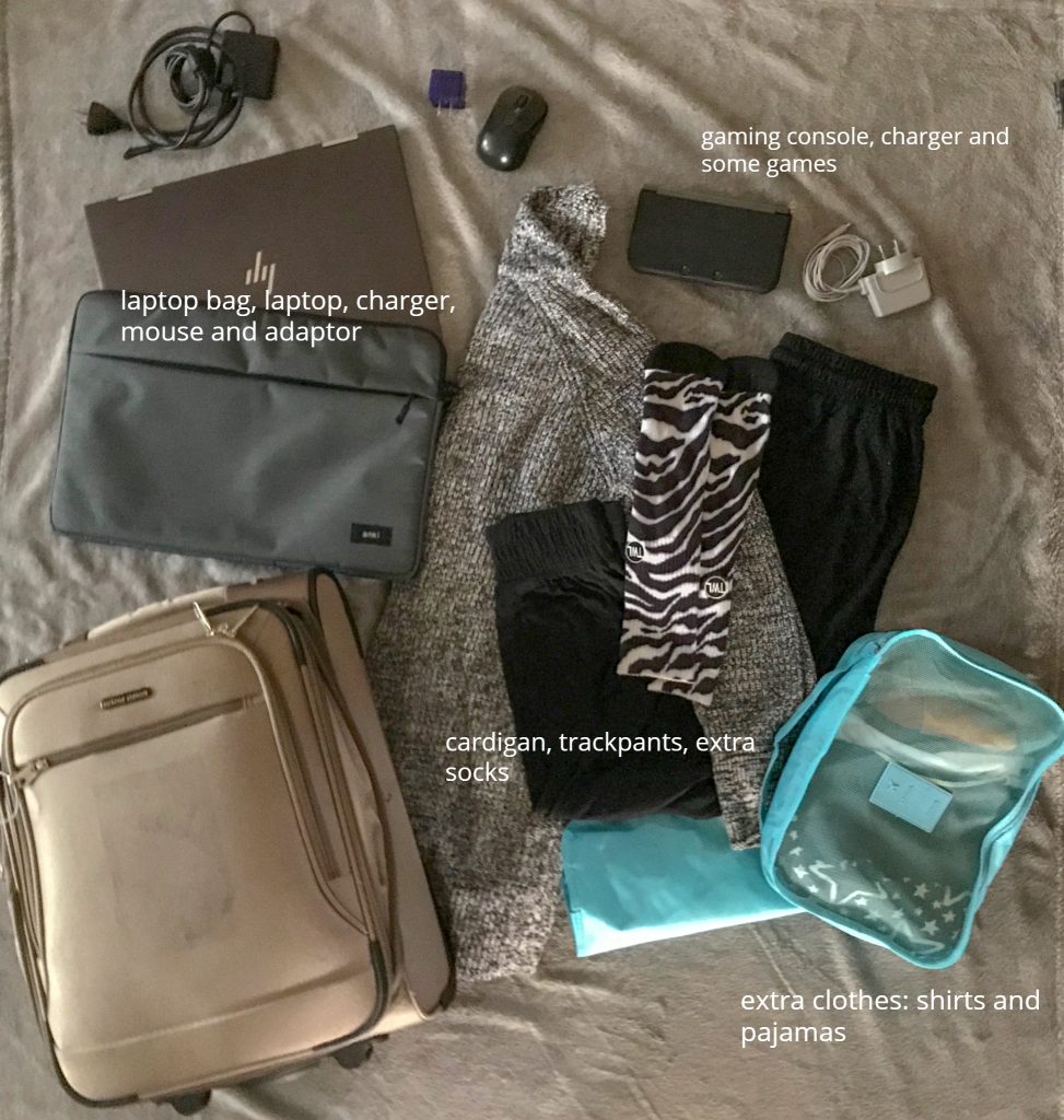 Interning in Japan: Carry-on image