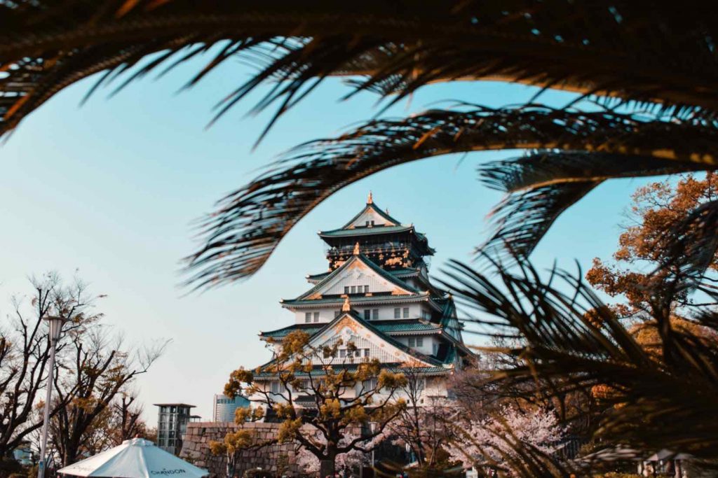 Osaka temple by palm tree - summer internships 2020