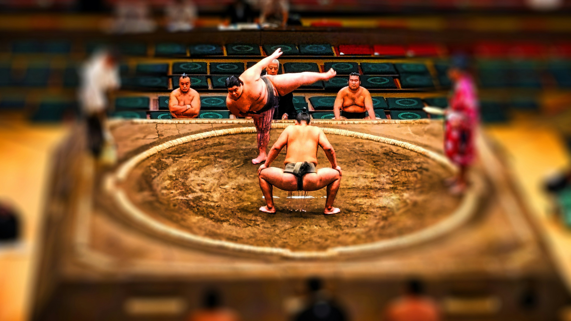 Japanese and Korean Sports & Entertainment: Martial Arts to